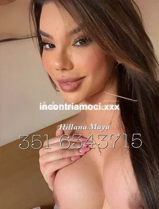 16 - Hillana Top Trans Trans Pisa - 3516343715