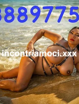 26 - Valery Top Trans Bari - 3888977581