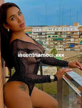 3 - Leisy Trans Milano - 3924678488