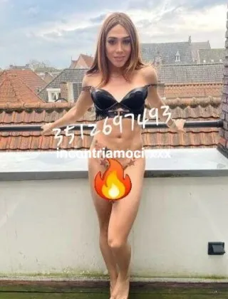 1 - Nova Trans Piacenza - 3512697493