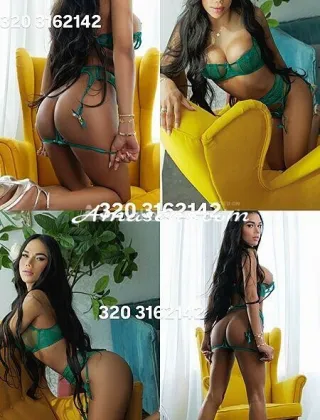 12 - Abbey Trans Treviso - 3203162142