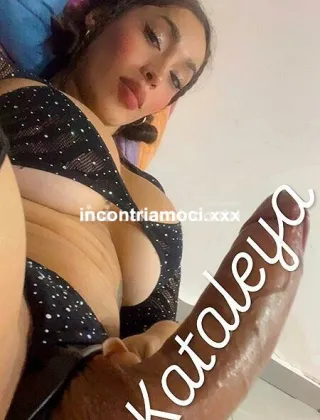 14 - Kataleya Trans Palermo - 3894493571