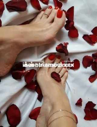 19 - Eva Escort Latina - 3299343017