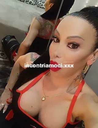 17 - Patrizia Trans Biella - 3882404407