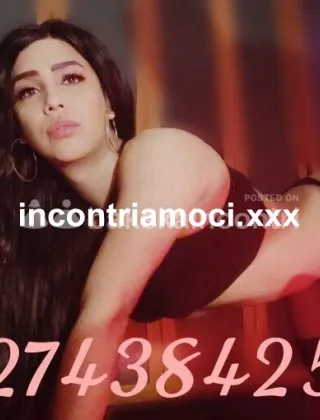 12 - Abril Trans Trento - 3274384258