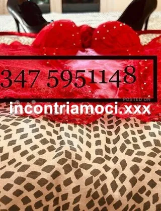 12 - Lia Trans Bari - 3475951148