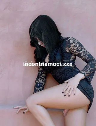 3 - Romana Trans Roma - 3406929276