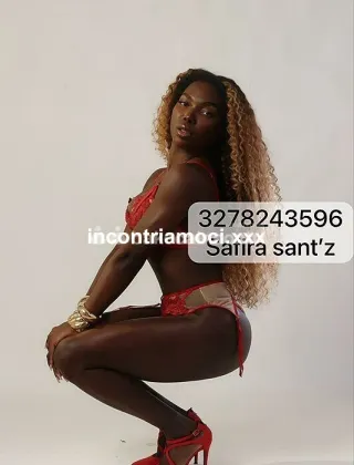 1 - Safira Trans Teramo - 3278243596