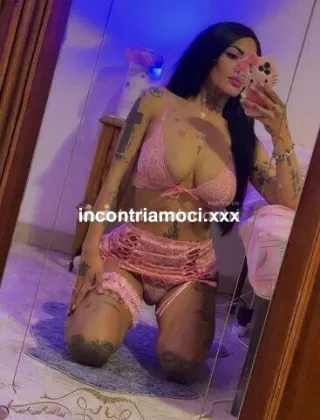 14 - Leydi Trans Udine - 3516507139