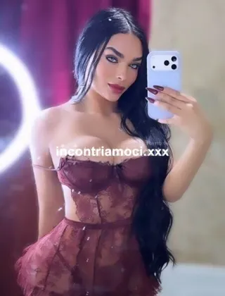 21 - Solo Videocam Trans Milano - 3342551192