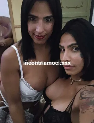 3933657271 - Xl/Xxl 29 Trans 🇧🇷 Brasiliana Torino
