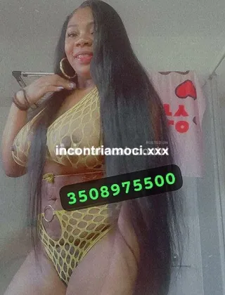 3508975500 - San Bonifacio Assoluta Porcellina Tutto Fare Una