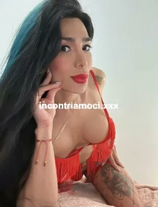 28 - Francia Trans Roma - 3924815460