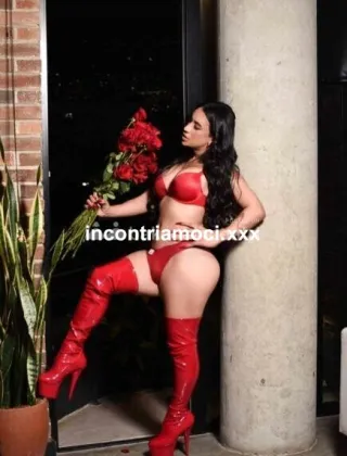 12 - Dayana Trans Varese - 3925173745