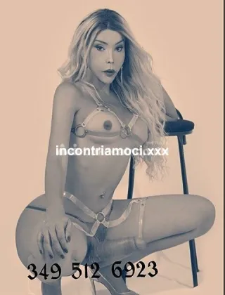 16 - Hillary Trans Roma - 3495126923