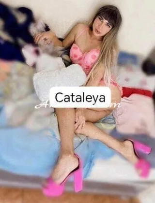 13 - Emilia Trans Reggio Emilia - 3381772021