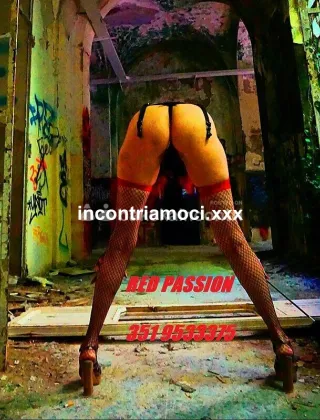 31 - Rachele Escort Monza e della Brianza - 3519533375