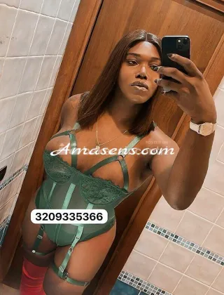 11 - Paloma Trans Caserta - 3209335366