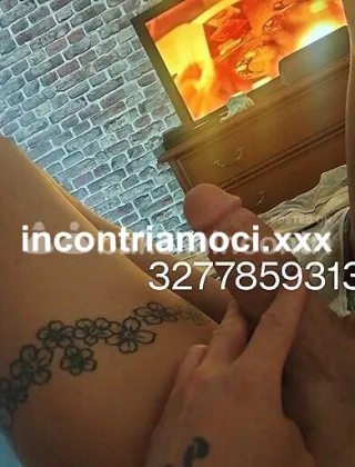 29 - Bona Trans Trans Cuneo - 3277859313