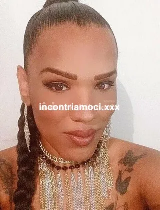 14 - Santos Trans Caserta - 3886315665
