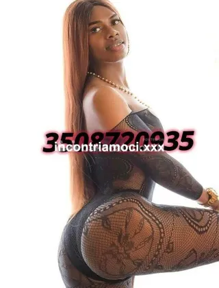 13 - Trans Pavia - 3508720935