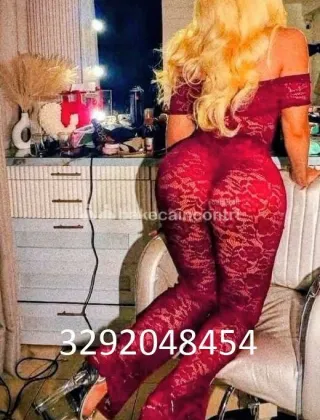 29 - Comfort Trans Alessandria - 3292048454