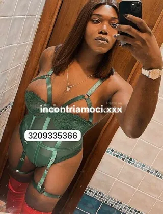 22 - Paloma Trans Caserta - 3209335366