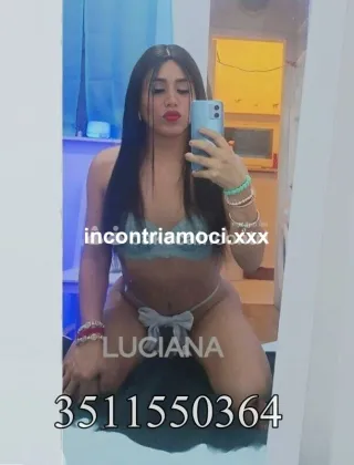 20 - Luciana Trans Cuneo - 3511550364