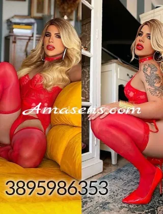 5 - Sellen Trans Parma - 3895986353