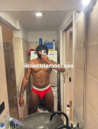 22 - Stallone Africano Coppie Napoli - 3509113369