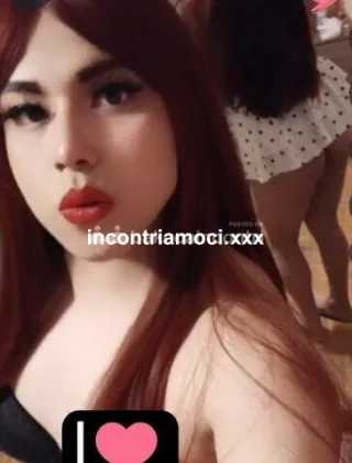 2 - Antuanelle Trans Verona - 3520557477