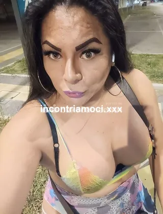 23 - Kattya Trans Rimini - 3920673972