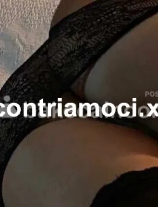23 - Vanessa Trans Monza e della Brianza - 3508231713
