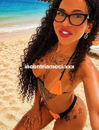 19 - Bruna Trans Mantova - 3488579556