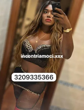 25 - Paloma Trans Caserta - 3209335366