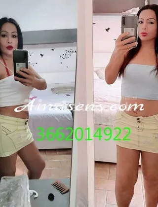 5 - Nicol Trans Perugia - 3662014922