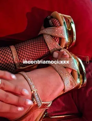 25 - Tsnicolestar Trans Torino - 3209164460