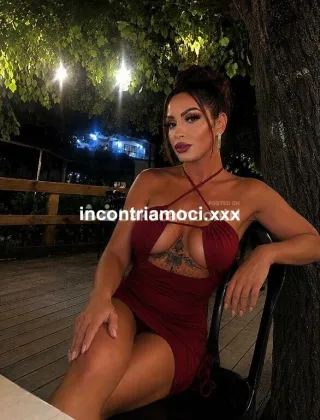 15 - Pamy Trans Terni - 3479599841