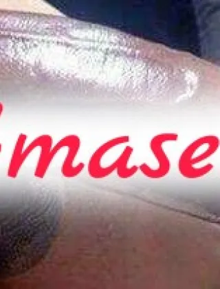 35 - Venere Trans Pisa - 3283286338