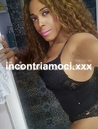 12 - Paolina Mulatta Trans Venezia - 3519582199