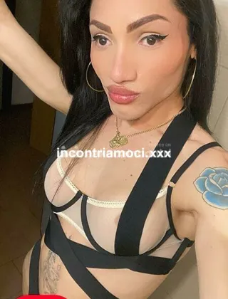 12 - Trans Brasiliana Trans Como - 3894273548