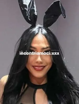 27 - Kattya Trans Piacenza - 3508776258