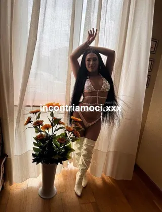 11 - Penelope Trans Varese - 3933601821