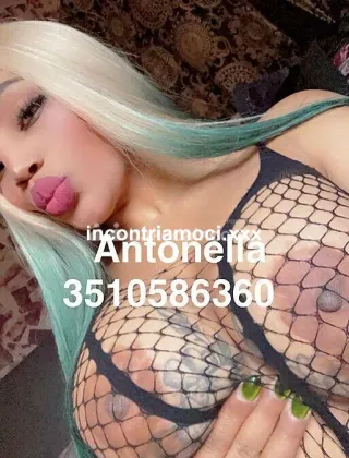 33 - Antonella Escort Modena - 3510586360
