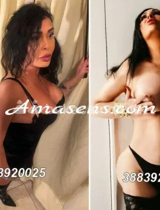 24 - Dea Trans Trans Bologna - 3883920025