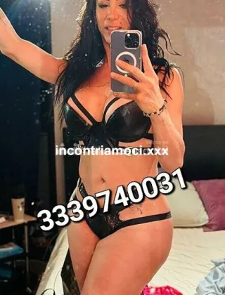 15 - Trans Sinthia Trans Pesaro e Urbino - 3383897240