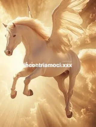 17 - Torodotatoxx Coppie Latina - 3662984882
