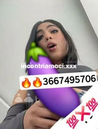 27 - Diana Trans Roma - 3667495706