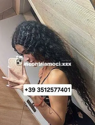 5 - Catalina Trans Pavia - 3512577401