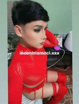 17 - Femboy Latina Trans Latina - 3809063793